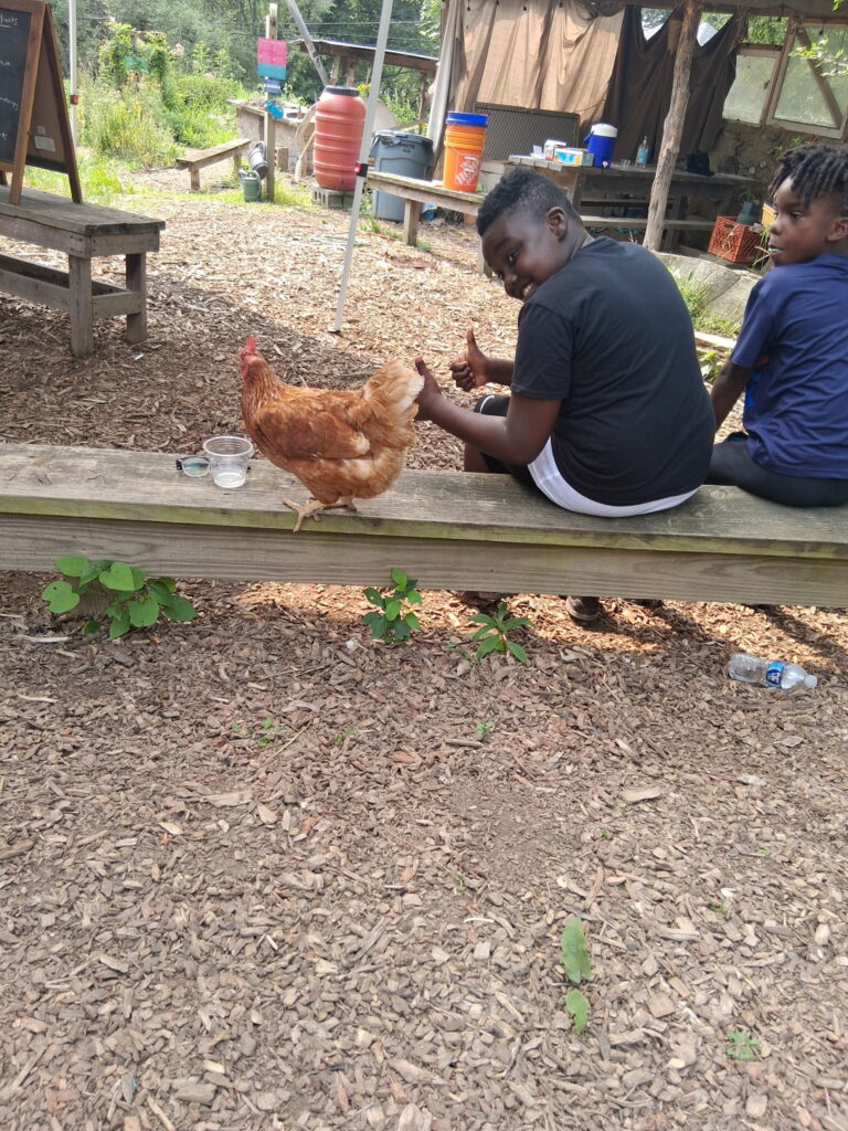 Two children petting a chicken on bench